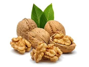 Walnut